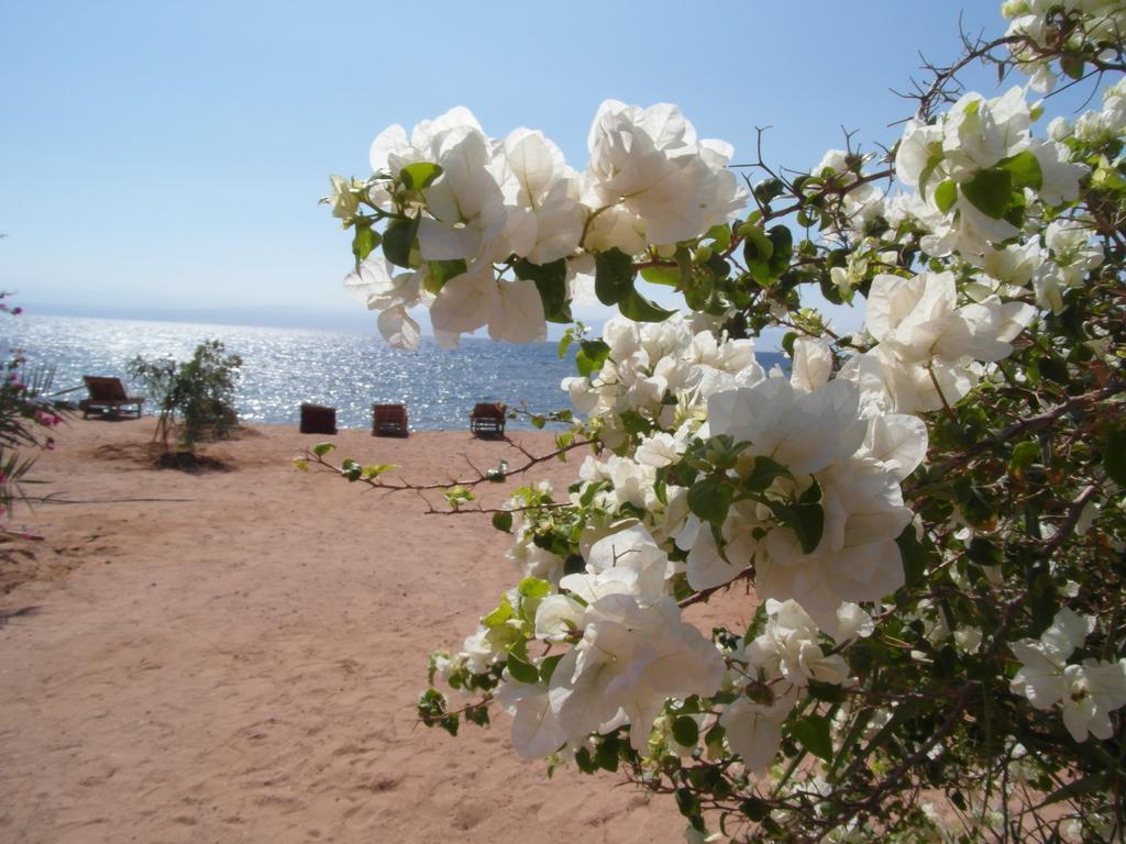 Hotel Bedouin Star Taba Exterior foto