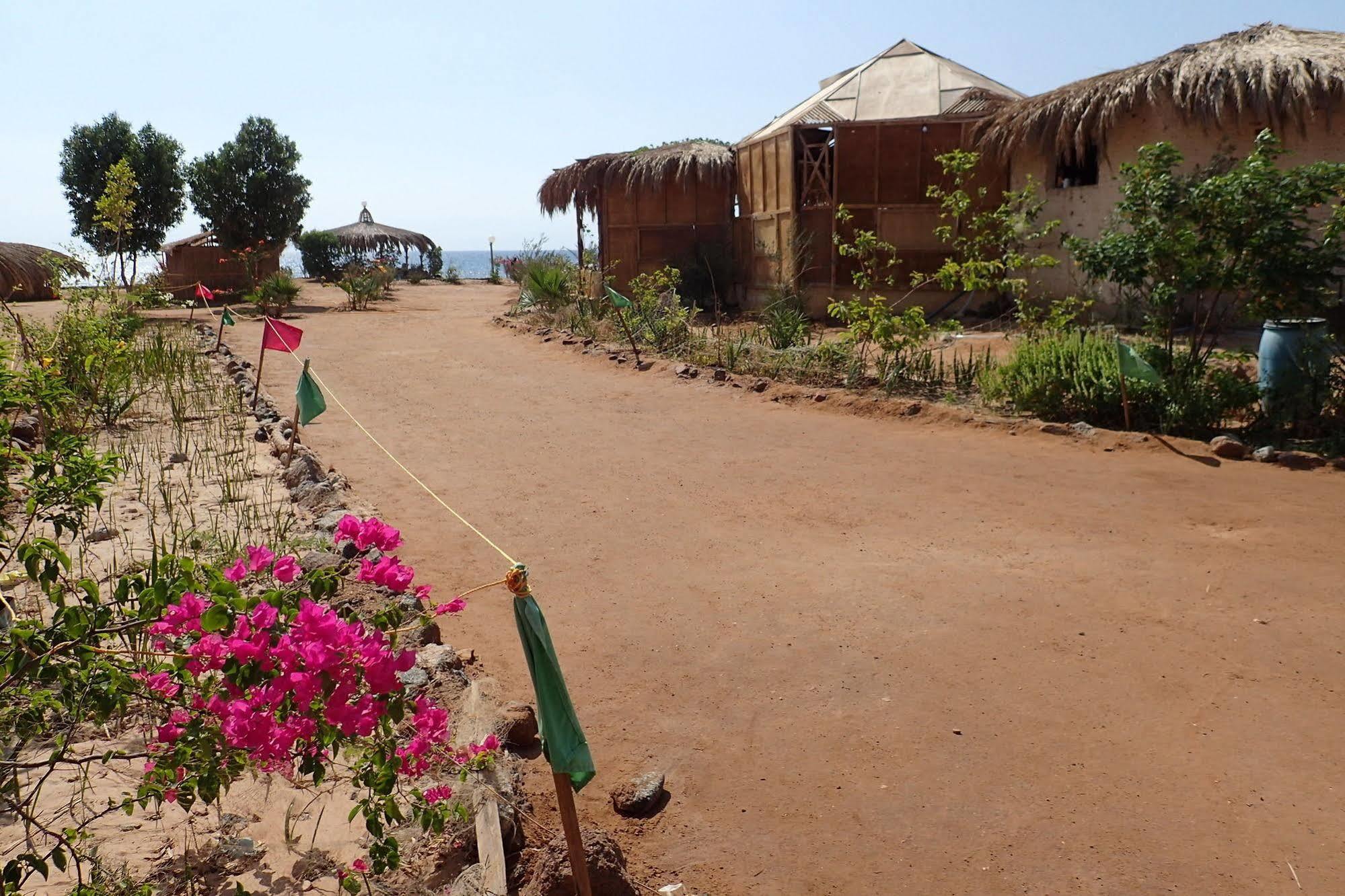 Hotel Bedouin Star Taba Exterior foto